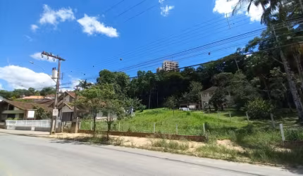 Terreno à venda no bairro Centro em Timbó/SC