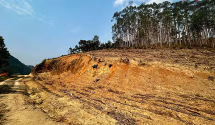 Terreno à venda no bairro Vargem Grande em Apiúna/SC