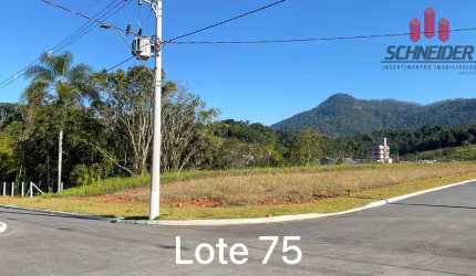 Terreno à venda no bairro Arapongas em Indaial/SC