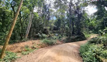 Terreno à venda no bairro Rio Morto em Indaial/SC