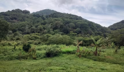 Chácara / sítio à venda na Caminho do Morro dos Caboclos, 50, Campo Grande, Rio de Janeiro, 2911 m2 por R$ 259.900