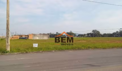 Terreno à venda, 393 m² por R$ 270.000,00 - Centro - Ilhota/SC