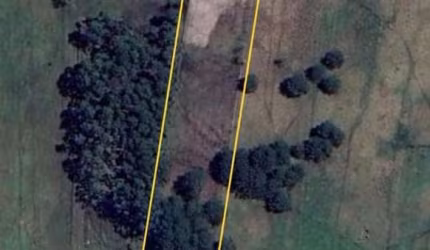 Sítio / Chácara para Venda em Torres, Campo Bonito, 3 dormitórios, 1 banheiro, 2 vagas