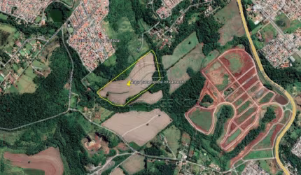 Área na Reserva Saltinho