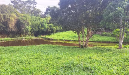 Lindo sitio, natureza exuberante, para amantes da natureza
