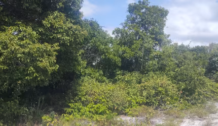 Vendo lote em Santo Antônio, Santa Cruz Cabrália