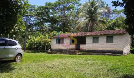 VENDO EXCELENTE FAZENDA PRODUTORA DE CACAU E SERINGA