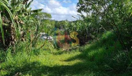 Área com 18 ha no Banco da Vitória