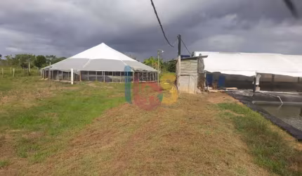 Vendo Fazenda Vida Nova
