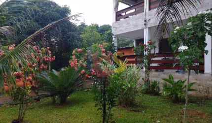 VENDO SÍTIO NA ROÇA DO POVO COM 1,29 HA