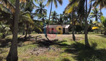 Vendo Excelente Área na Praia de Atalaia em Canavieiras Bahia