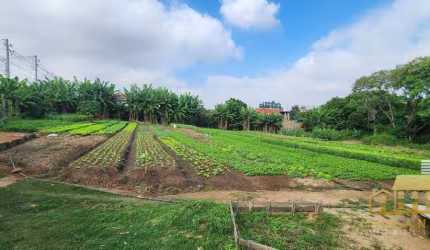 Área à venda, 3000 m² por R$ 2.200.000 - Vila Mineirão - Sorocaba/SP