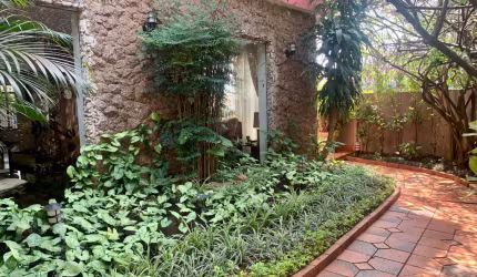 Belíssima casa com muito verde na Vila Mariana