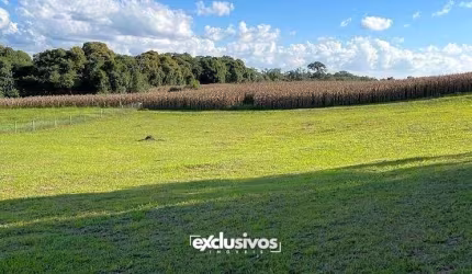 Sítio Quinta da Bela Vista com 3.527 m² à venda em Campo Alegre