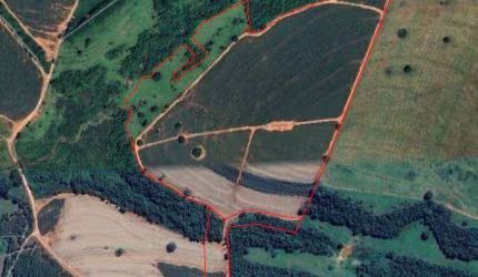Fazenda à venda, 15 alqueires por R$ 3.600.000