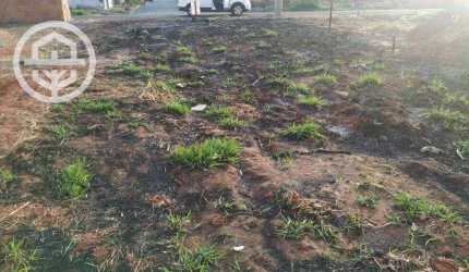 Terreno à venda, 200 m² por R$ 75.000,00 - Jardim Anastácio - Barretos/SP