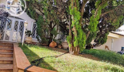 Casa com 3 dormitórios à venda, 395 m² por R$ 1.800.000,00 - Centro - Barretos/SP