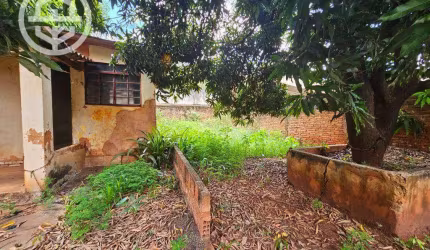 Casa com 3 dormitórios à venda, 244 m² por R$ 250.000,00 - Baroni - Barretos/SP