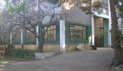 Galpão locação Granja Viana