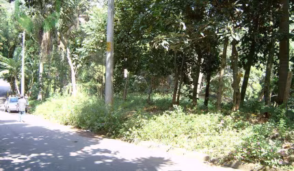 Terreno à venda, 6462 m² por R$ 2.550.000,00 - Chácaras dos Lagos - Cotia/SP