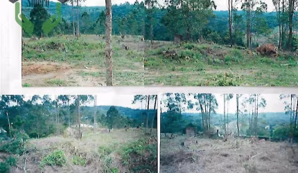Terreno à venda, 1550 m² por R$ 420.000,00 - Invernada - Embu das Artes/SP