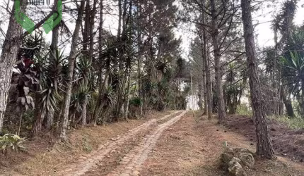 Área à venda, 18455 m² por R$ 7.000.000,00 - Cotia - Cotia/SP
