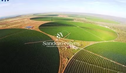 Fazenda de Café À Venda, R$ 330.000.000 - 2.050 Hectares na Região de Buritizeiro – MG
