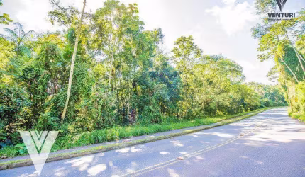Terreno à venda, 153472 m² por R$ 2.500.000,00 - Velha Central - Blumenau/SC