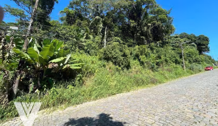 Terreno à venda, 3648 m² por R$ 450.000,00 - Ponta Aguda - Blumenau/SC