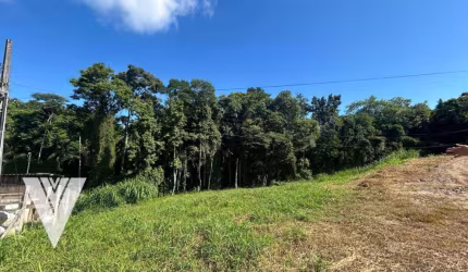 Terreno à venda, 1600 m² por R$ 795.000,00 - Passo Manso - Blumenau/SC