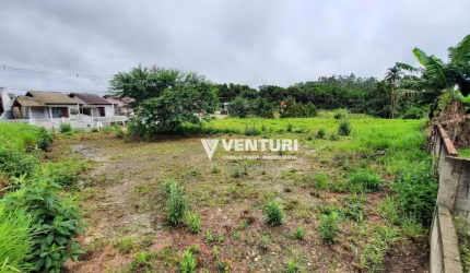 Terreno à venda, 792 m² por R$ 300.000,00 - Araponguinhas - Timbó/SC