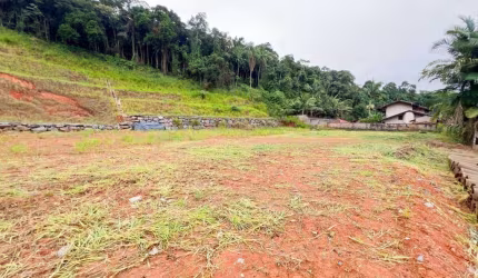 Terreno à venda, 3200 m² por R$ 1.900.000,00 - Fortaleza - Blumenau/SC