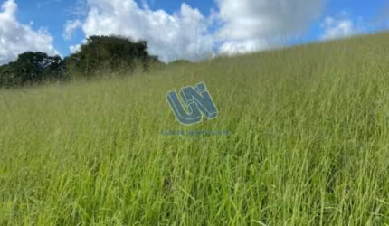 Fazenda em Pedrão com 100 tarefas