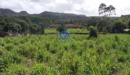 Fazenda com 88 tarefas em Araças-Ba