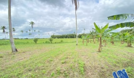 Fazenda com 66 hectares em Amélia Rodrigues