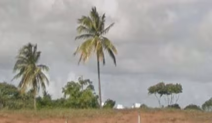 Terreno a Venda na Paralela