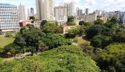 Apartamento 4 Quartos Suites 197m2 com vista ampla para o verde do vale do canela na Graça