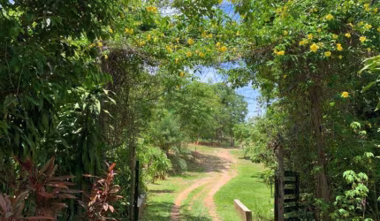 Chácara / sítio com 3 quartos à venda na Emanuel Pinheiro, 30, Jardim Vitória, Cuiabá por R$ 2.000.000