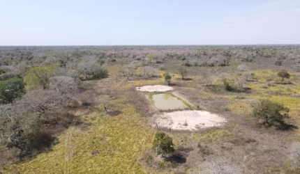 Fazenda com 1 sala à venda na Poconé, 2, Zona Rural, Poconé por R$ 11.000.000