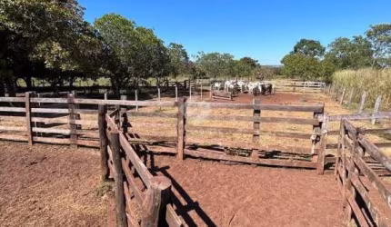 Fazenda com 2 salas à venda na Mt 244, 15, Zona Rural, Acorizal por R$ 1.900.000