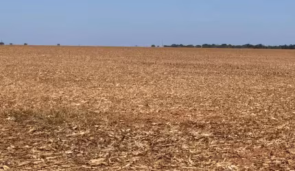 Fazenda com 1 sala à venda na Ipiranga, 1, Centro, Ipiranga do Norte
