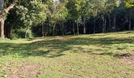 Terreno no Bairro dos Fincos em São Bernardo do Campo