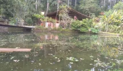 Chácara para Venda Paranaguá / PR, Colônia Maria Luiza