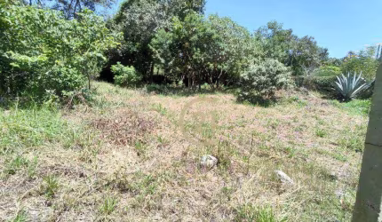 Terreno à venda, 1000 m² por R$ 320.000 - Recanto Campestre Internacional de Viracopos Gleba 4 - Indaiatuba - SP