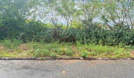 Terreno à Venda em Itapuã – Oportunidade Única!