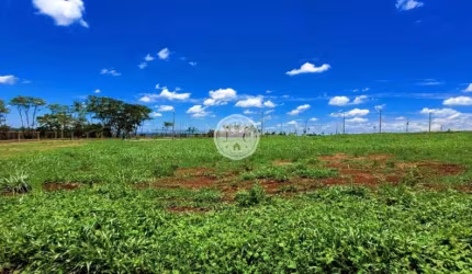 Terreno em condomínio fechado à venda na Luiz Carlos Gonçalves Farinha, 100, Residencial Alto do Castelo, Ribeirão Preto por R$ 420.000