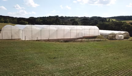 Chácara para venda tem 30.250 metros quadrados  - Lapa - PR