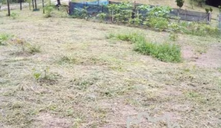 SÍTIO 20.000M² COM PASTO FORMADO EM JACAREÍ !