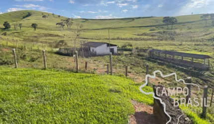 FAZENDA 127 HECTARES ! ÓTIMA LOCALIZAÇÃO E TOPOGRAFIA MÉDIA !