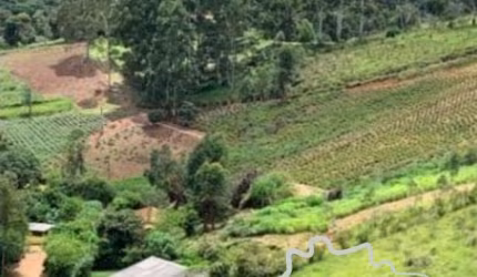 FAZENDA COM 30 ALQUEIRES EM SILVEIRAS /SP COM CERTIFICAÇÃO ORGÂNICA ECOCERT NA PRODUÇÃO DE  ÓLEOS ESSENCIAIS!
